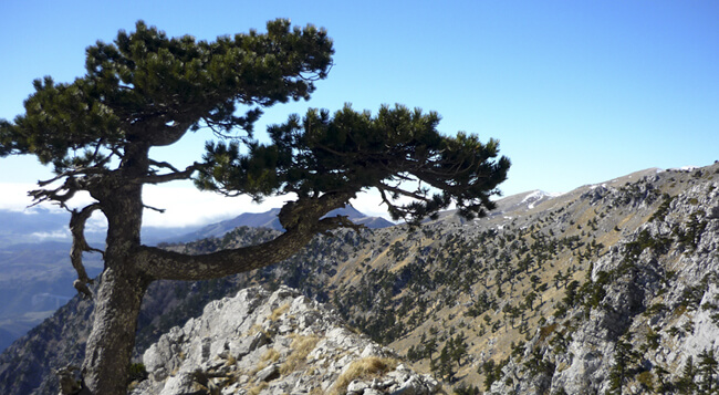 Fotografie di paesaggi di montagna di Gilberto Peroni