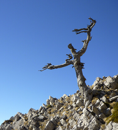 Fotografie di paesaggi di montagna di Gilberto Peroni