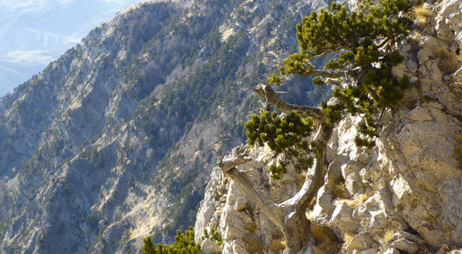 Fotografie di paesaggi di montagna di Gilberto Peroni