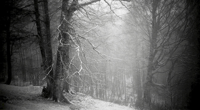 Fotografie di paesaggi di montagna di Gilberto Peroni